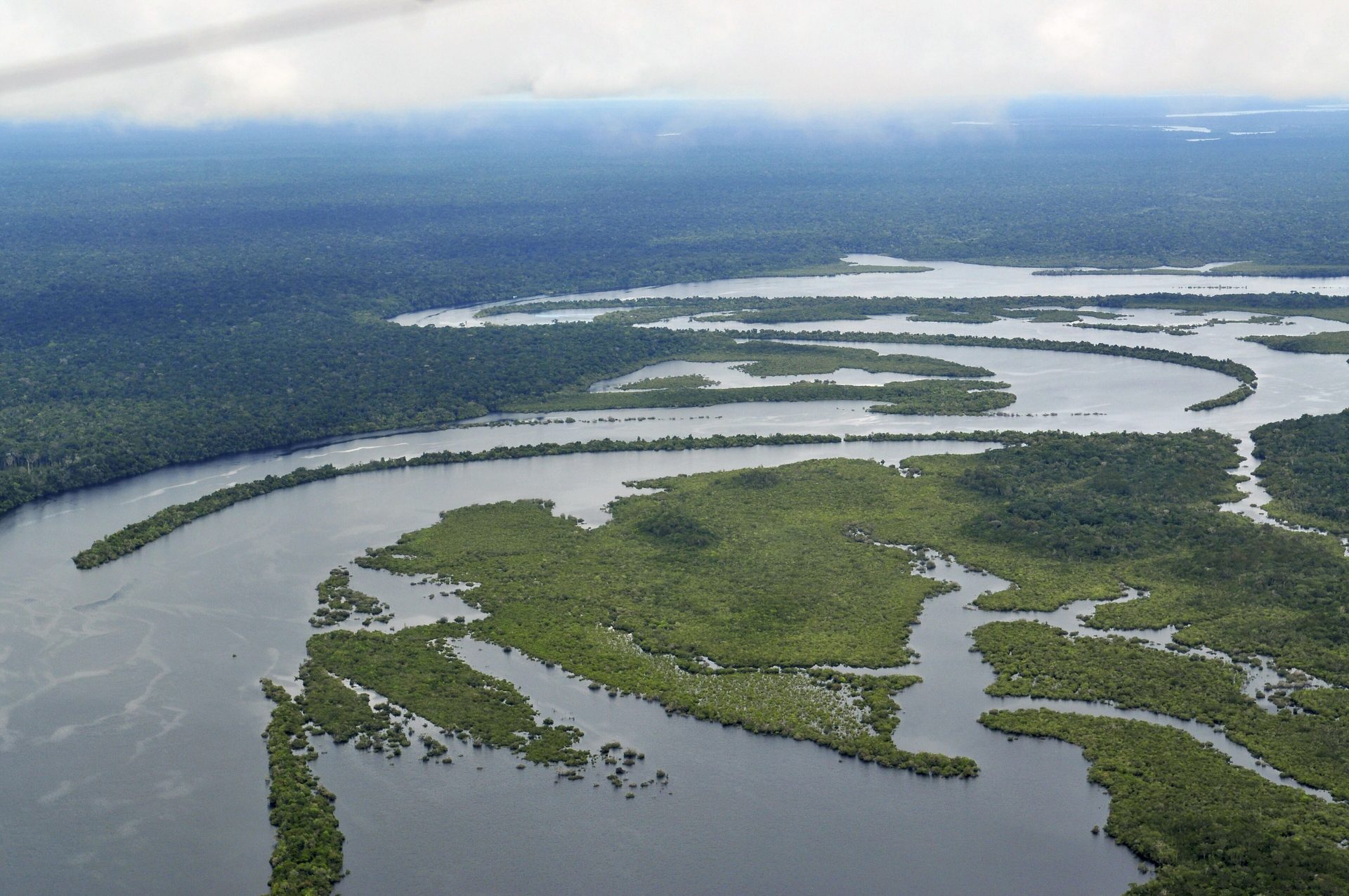 The Peruvian Amazon