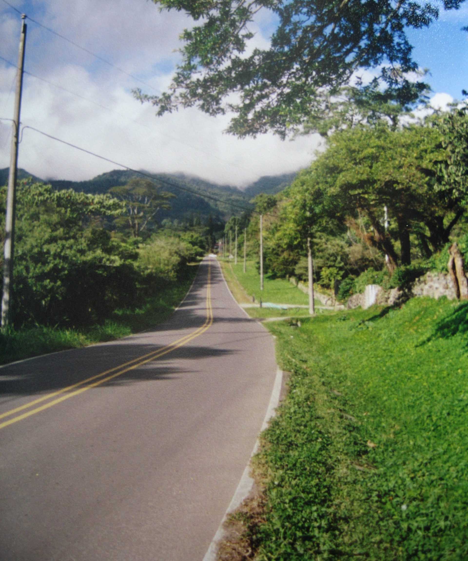 Boquete's coffee highlands