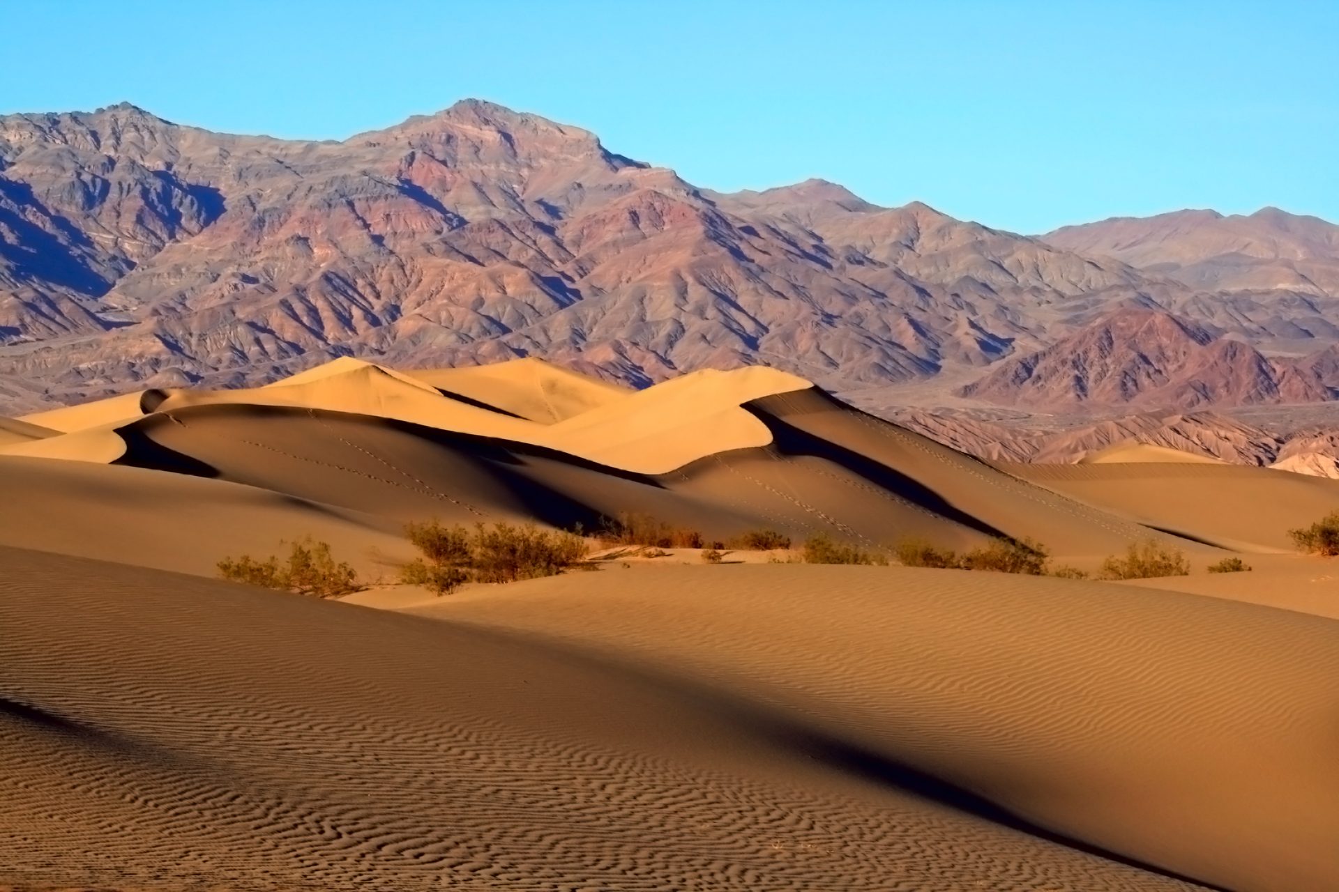 Death Valley's salt flats and dunes
