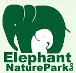Elephants at an ethical sanctuary