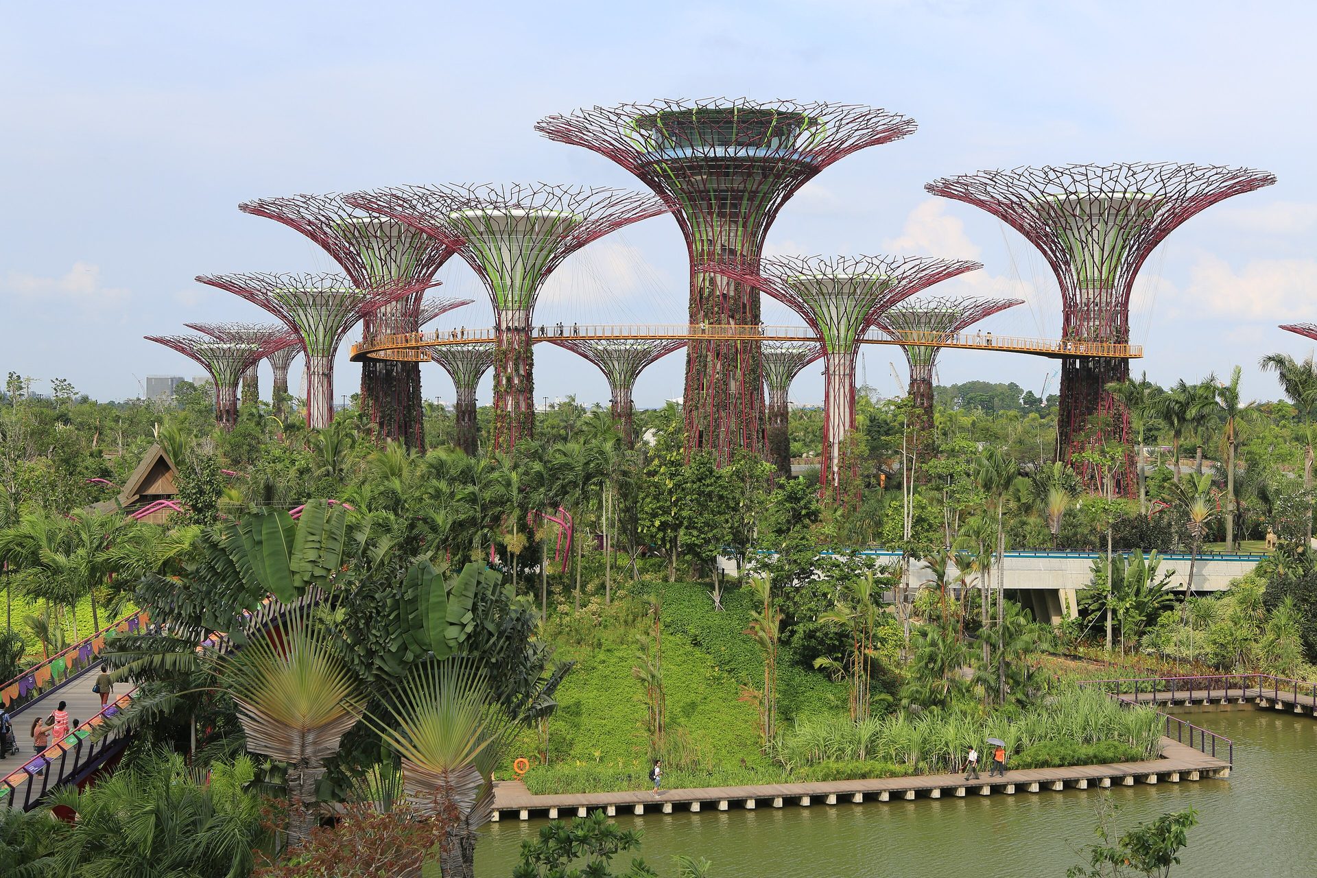Supertrees at Gardens by the Bay
