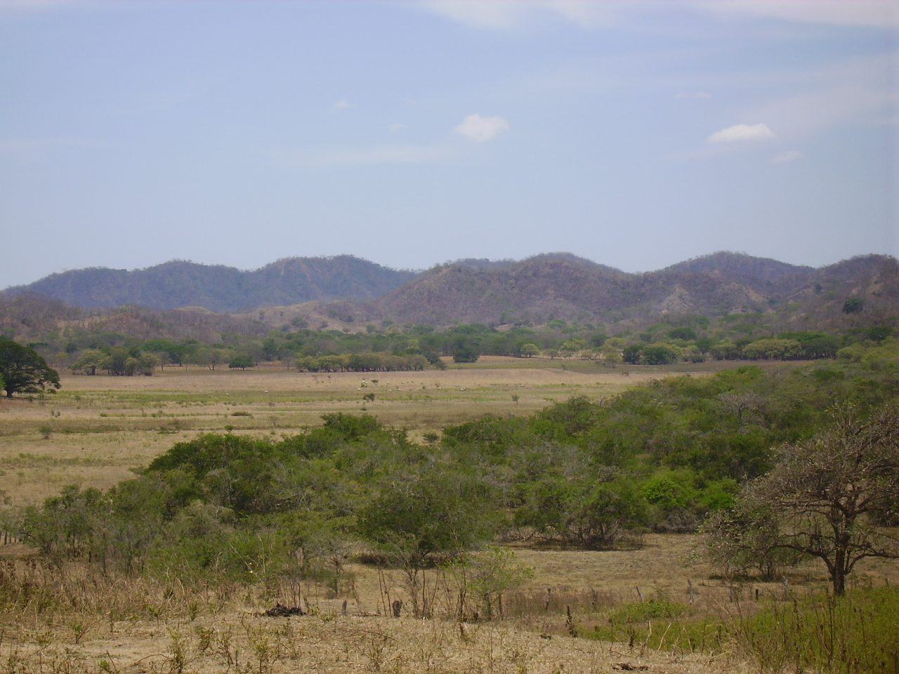 Guanacaste's golden beaches
