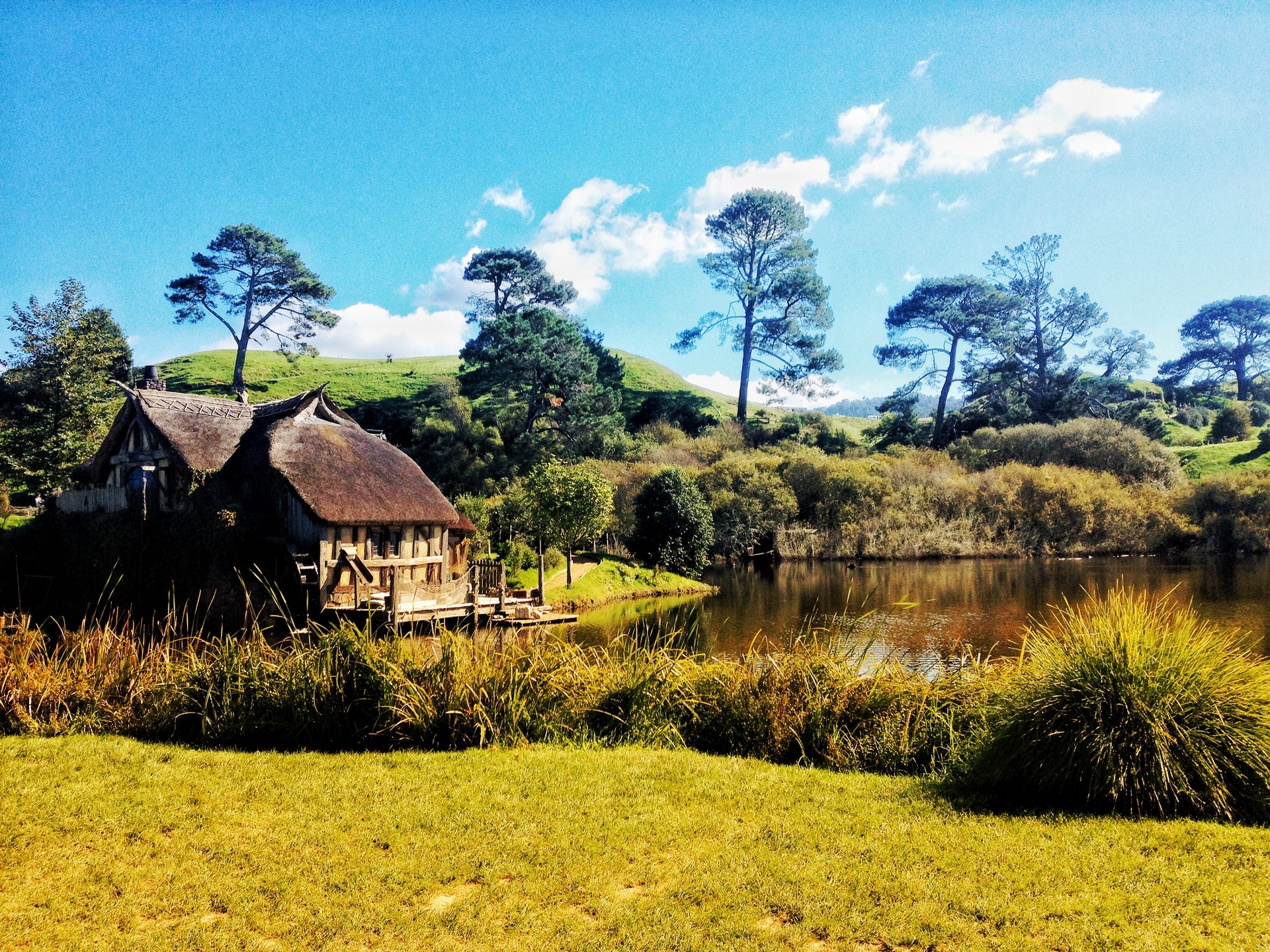 Hobbiton's hobbit holes