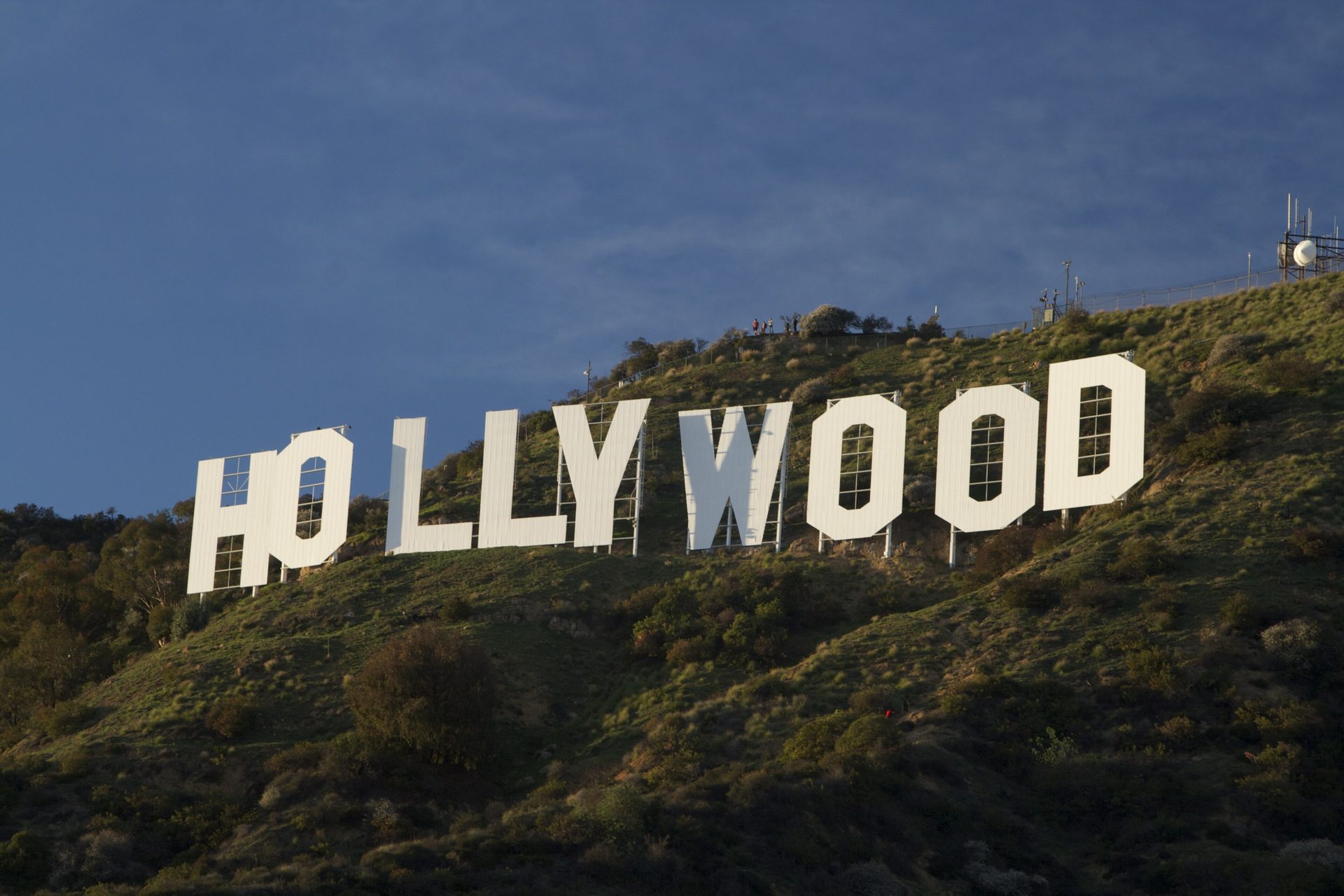 Los Angeles skyline and palm trees