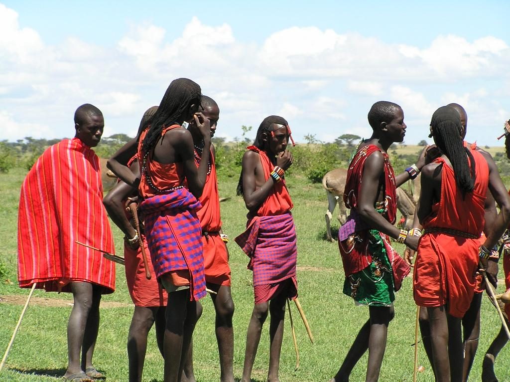 The Maasai Mara's savanna and herds