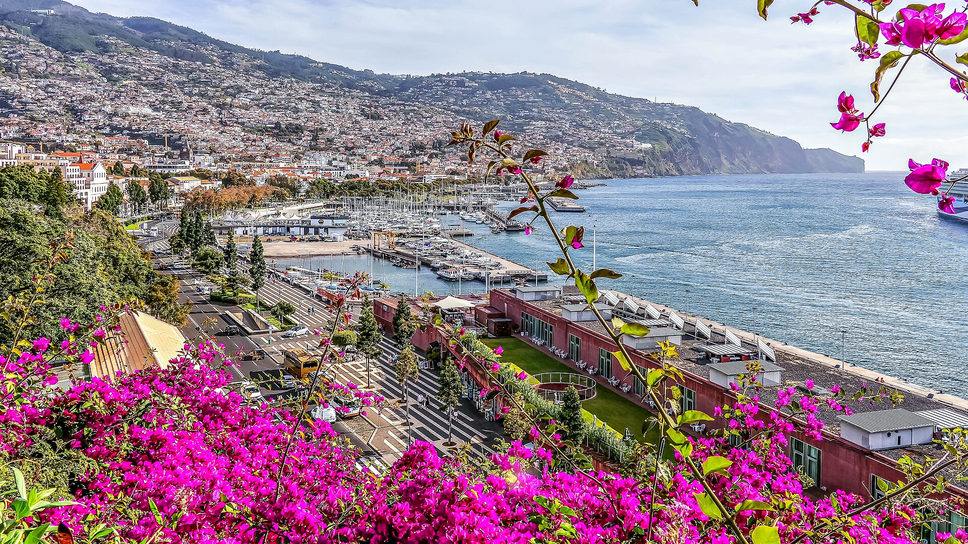 Funchal harbour and the green mountains of Madeira