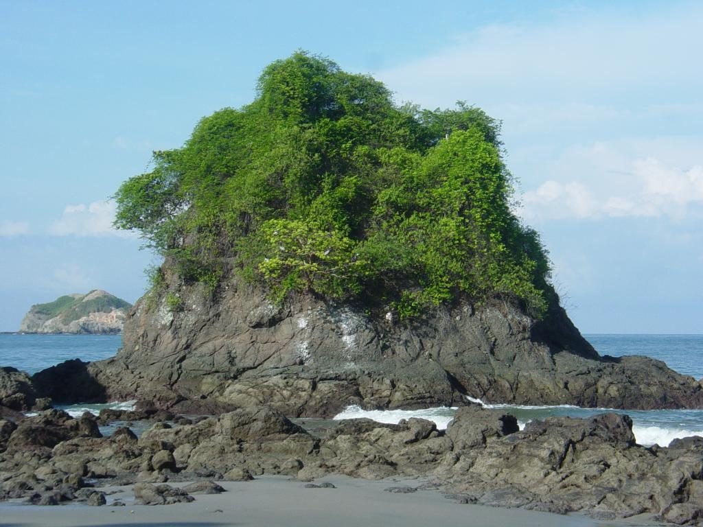 Manuel Antonio's beach and jungle