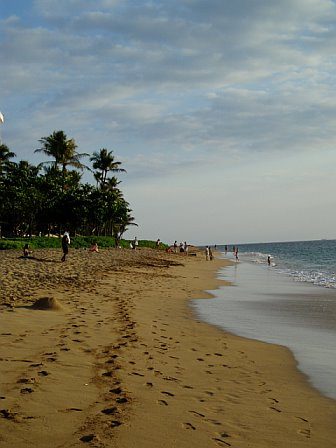 Maui's coastline and beaches