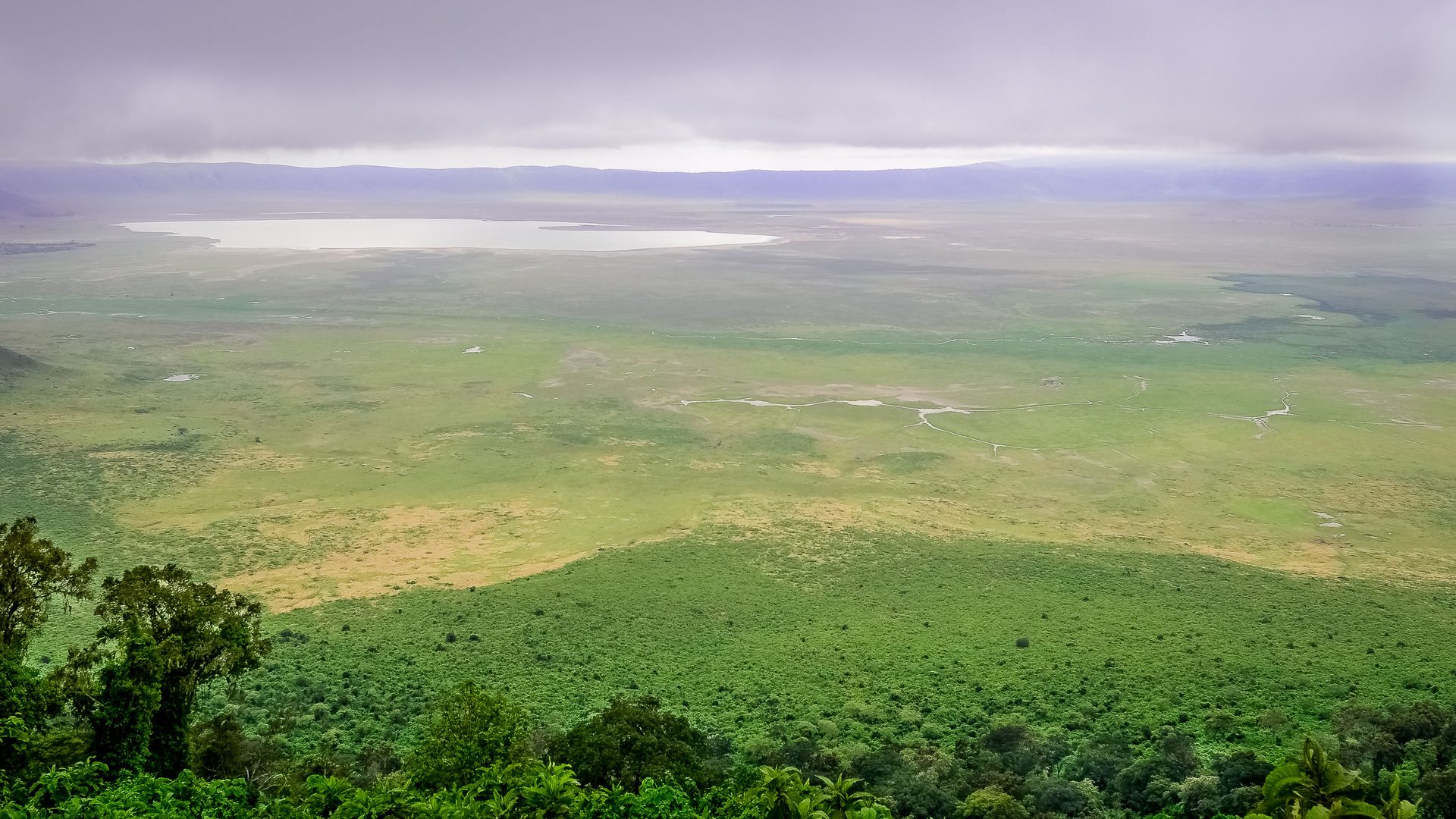 The Ngorongoro Crater floor