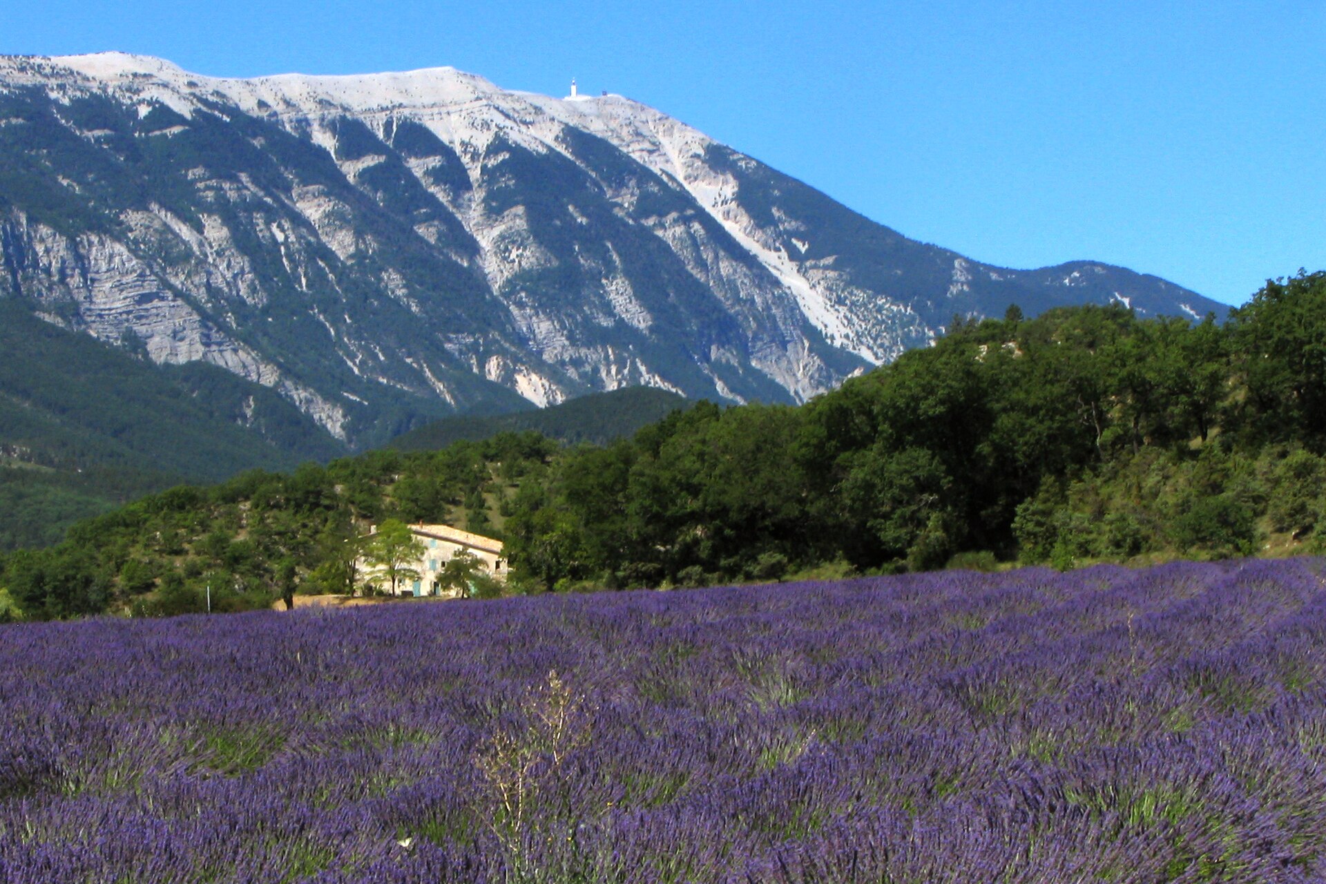 Lavender fields and stone villages in Provence