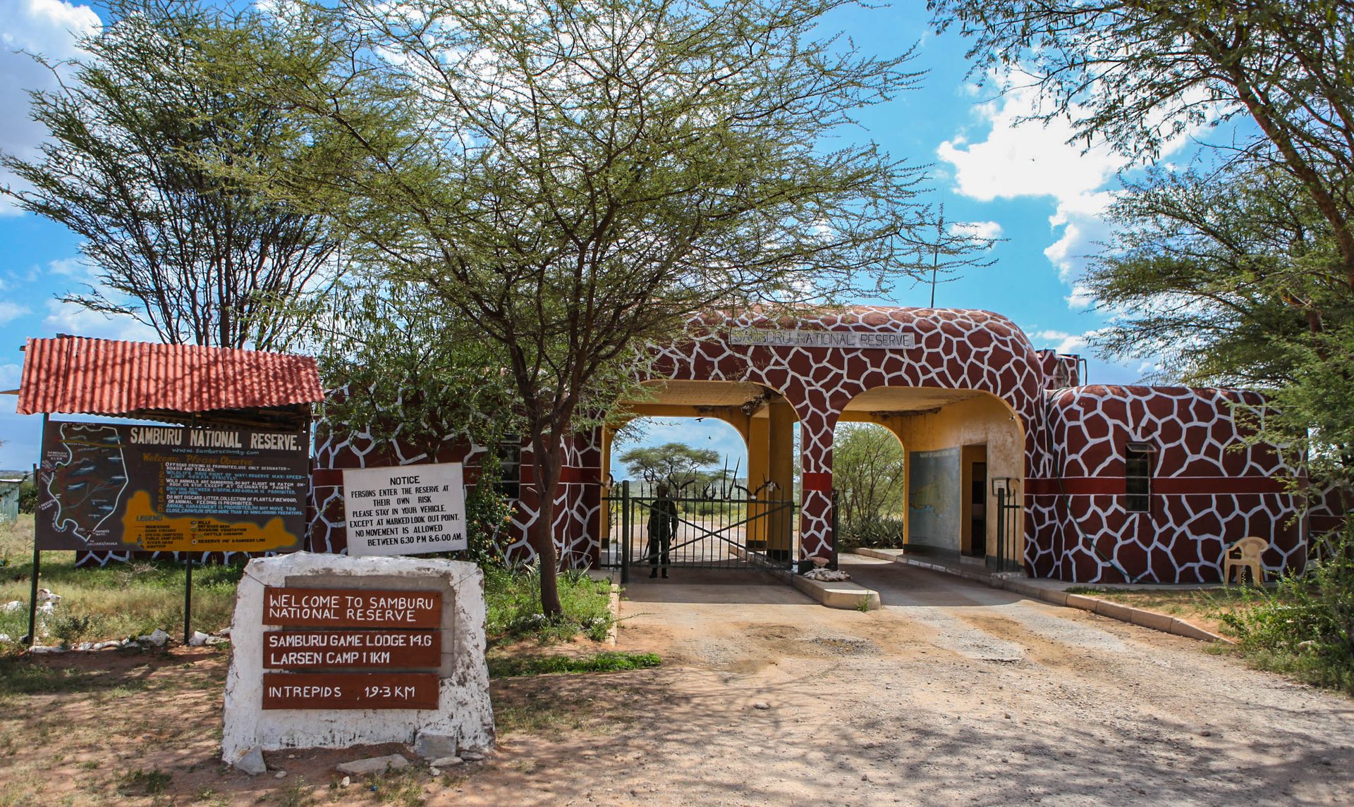 Samburu's unique northern wildlife