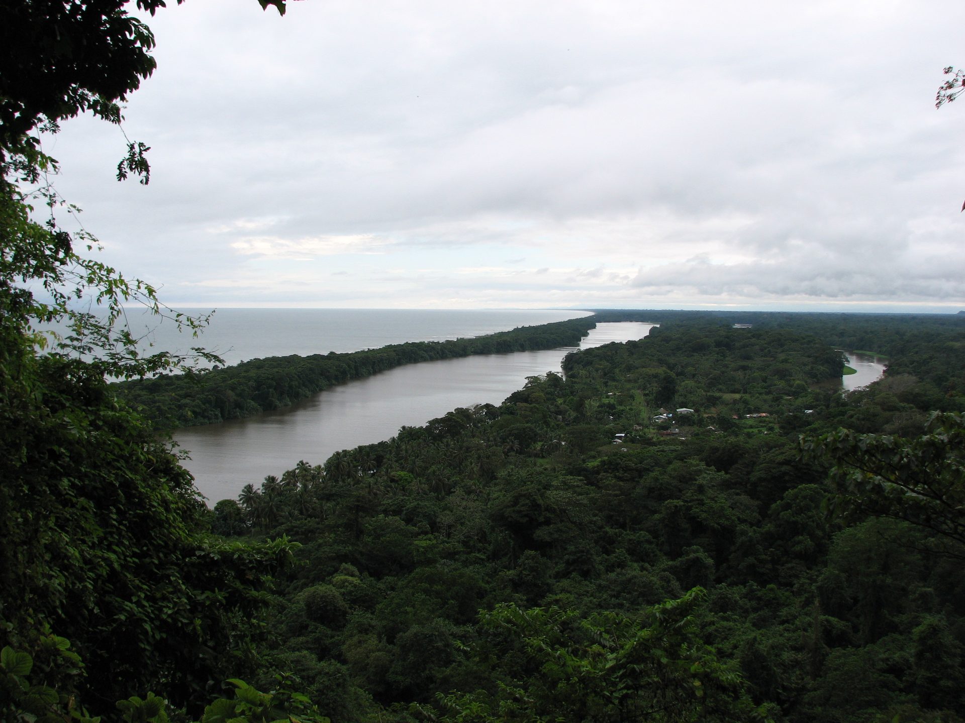 Tortuguero's jungle canals